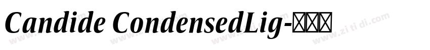 Candide CondensedLig字体转换